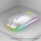 Rechargeable Light-up Gaming Laptop Mouse